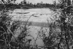 1918-giugno-Il-Piave-a-Fagarè-Un-caduto-nellisolotto